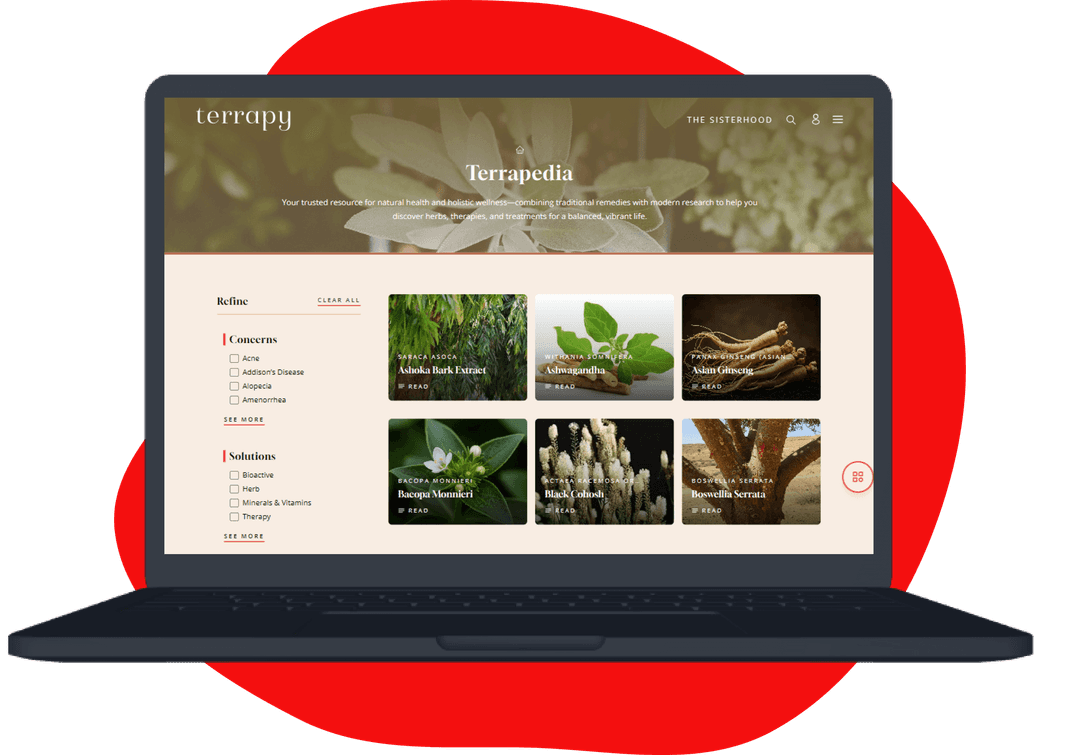 Consistent, conversion-friendly UI with Tailwind + Shadcn/UI
